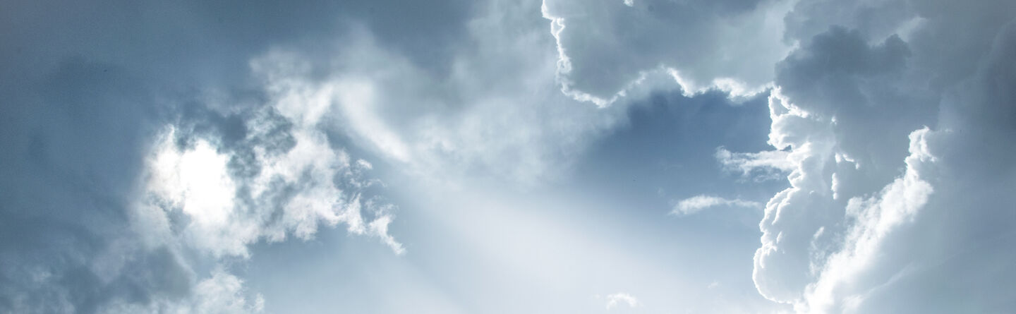 ส่วนบนสุดของเว็บไซต์